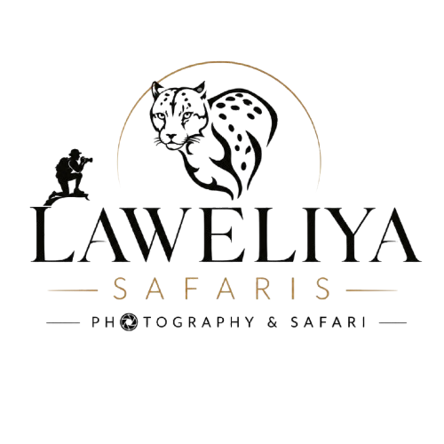 laweliya photohraphy and safaris