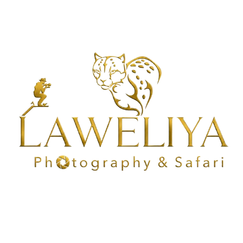 Laweliya
