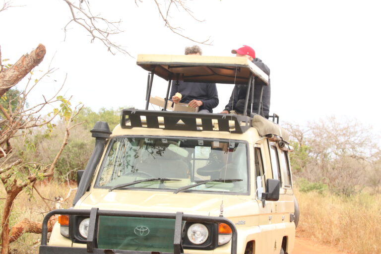 Serengeti & Ngorongoro Classic 7-Day