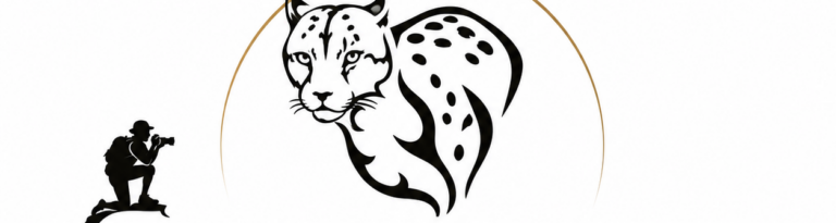 cropped-ChatGPT-Image-May-28-2026-01_26_39-AM-2.png